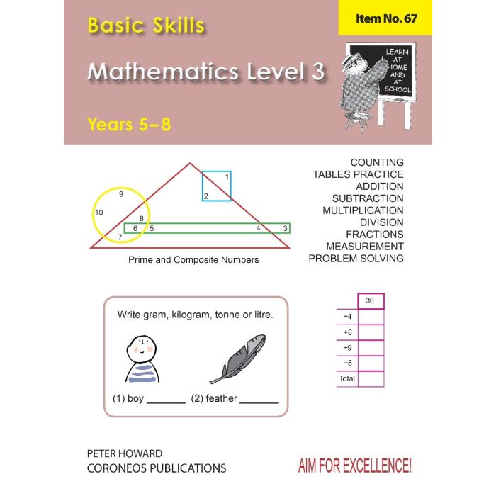 Basic Skills Maths Level 3 Yrs 5 - 8 (Basic Skills No. 67)